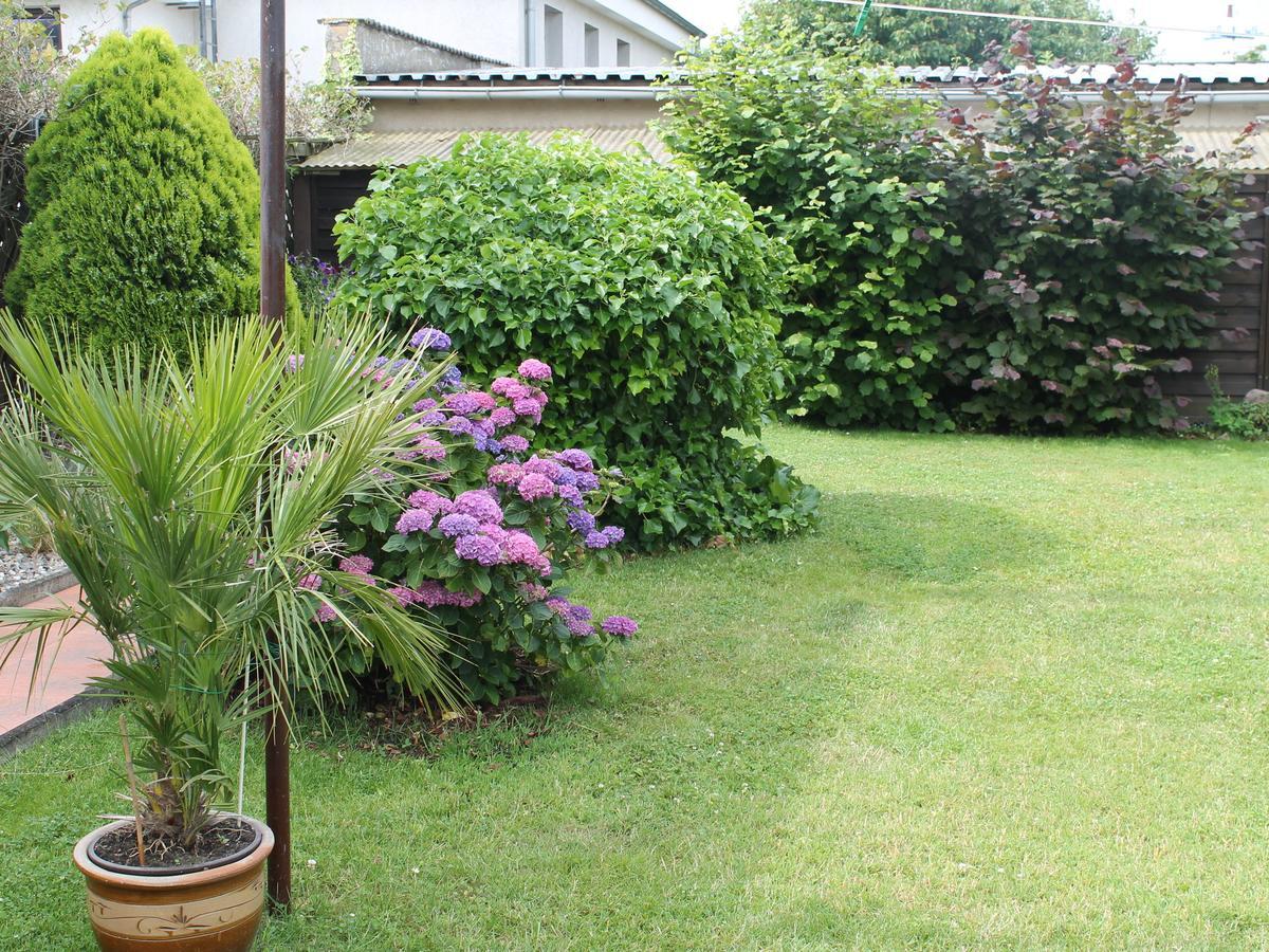 Apartment Rerik With Fenced Garden Bagian luar foto