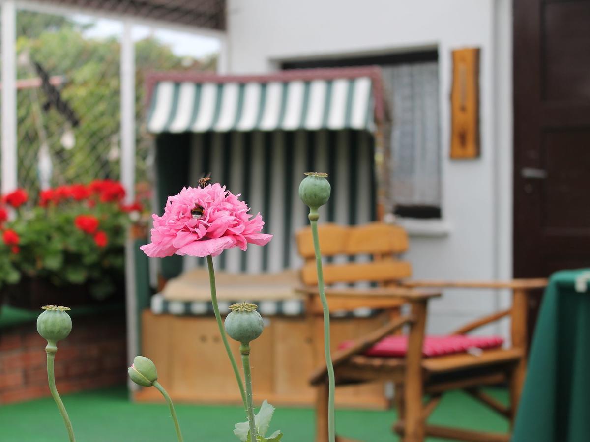Apartment Rerik With Fenced Garden Bagian luar foto